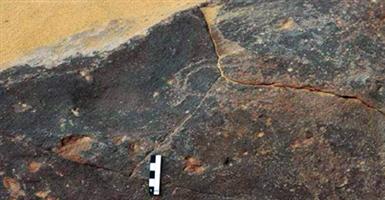 العثور على نقوش صخرية تعود لعصور ما قبل التاريخ 
