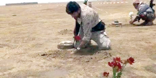  أفراد من الفرق الهندسية في الجيش اليمني ينتزعون الألغام
