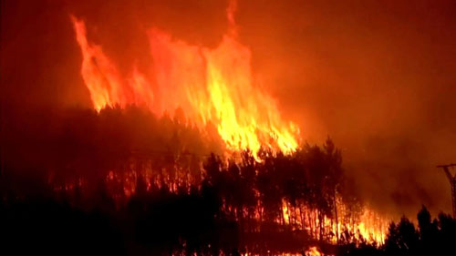 تدمير 8 آلاف هكتار من الغابات في حرائق غرب إسبانيا 