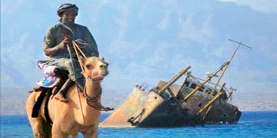 الخيول والإبل تجذب مرتادي شواطئ حقل بمنطقة تبوك 