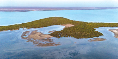 جزيرة «عَثَر».. التاريخ مر من هنا 