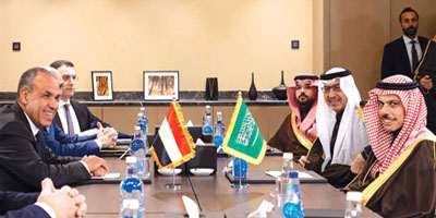 وزير الخارجية ونظيره المصري يناقشان آخر التطورات الإقليمية والدولية 