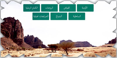 انتشار 63 نوعًا من النباتات المحلية في بيئات تبوك 