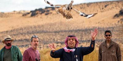 محمية الأمير محمد بن سلمان الملكية تُعيد توطين طائر الحبارى الآسيوي 