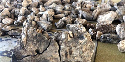 اكتشاف أحفورة عمرها أكثر من مليوني سنة في إثيوبيا 