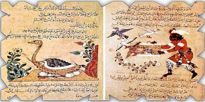 فعلُ الكلمة 