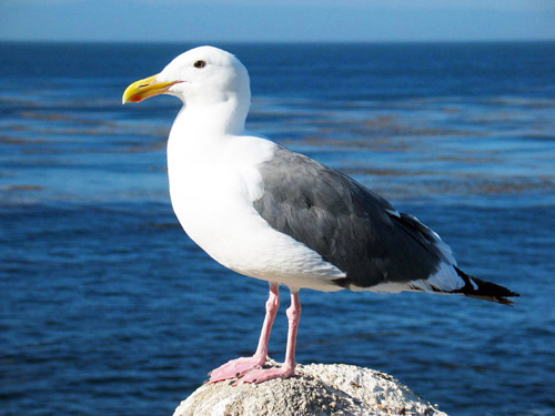  مواقع التواصل