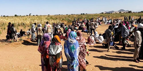 الأمم المتحدة: نزوح أكثر من 100 ألف من كردفان 