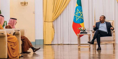 وزير الخارجية يبحث مع رئيس الوزراء الإثيوبي جهود الاستقرار الإقليمي 