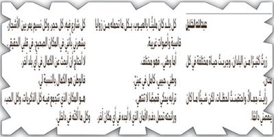 وطني.. كامل الصفات 