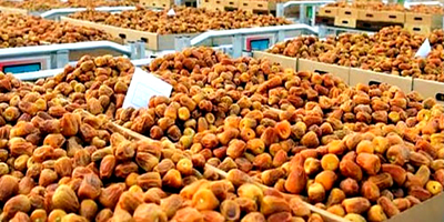 تسجيل كرنفال بريدة للتمور لدى الهيئة السعودية للملكية الفكرية 