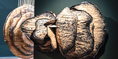 «أرضنا».. تجربة فنية معاصرة بين الإنسان والطبيعة 