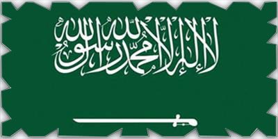 المملكة تؤكد أهمية استمرارية العمليات التشغيلية البحرية وضمان حماية إمدادات الطاقة 