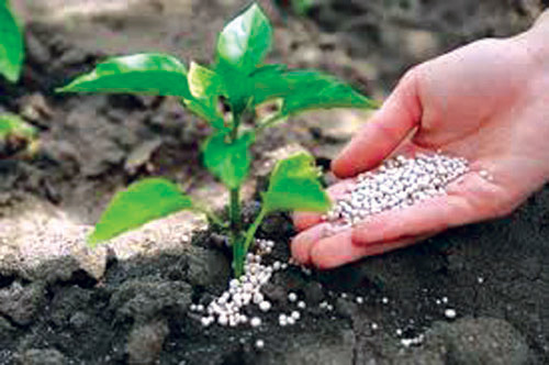 حرب إيران تهدد الأمن الغذائي العالمي مع ارتفاع أسعار الأسمدة 